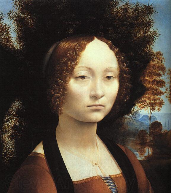  Leonardo  Da Vinci Portrait of Ginerva de'Benci Norge oil painting art